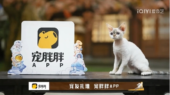 不负时代，宠物蓝海乘风破浪，宠胖胖一举摘得年度金案