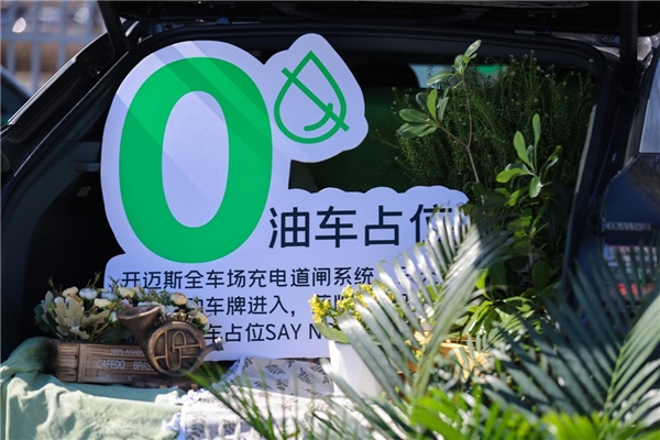 开迈斯全国最大充电站-北京国家体育馆站首发84个充电车位能每日满足数百位用户需求