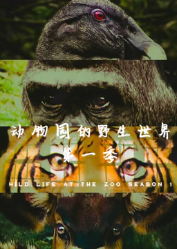 >动物园的野生世界 第一季电影完整版免费观看（动物园的野生世界 第一季电影完整版免费观看/网站地图/120分钟免费剧情观看）