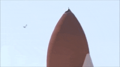 马斯克为了射火箭：竟然绑架海豹做这种事