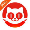 猫眼专业版 猫眼专业版
