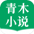 青木小说版 青木小说版