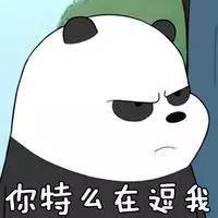 bum表情包动图