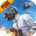 pubg地铁逃生下载官方正版 pubg地铁逃生下载官方正版
