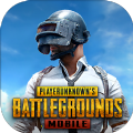 pubg国际服下载官方正版 pubg国际服下载官方正版