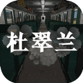 孙美琪杜翠兰案 孙美琪杜翠兰案