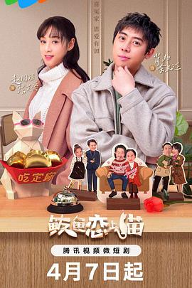 鲅鱼恋上猫电视剧观看全集免费（鲅鱼恋上猫全24集，每集45分钟剧情免费看）