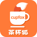 茶杯狐 茶杯狐