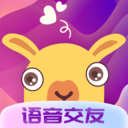 哩咔 哩咔