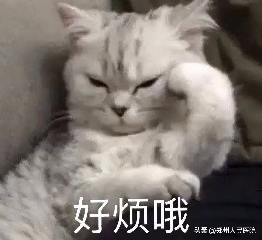 干！干！干！一大波“秋燥”已经到货，如何拒收